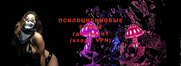 спиды Горно-Алтайск