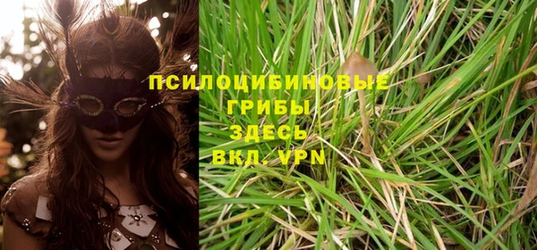 метадон Горняк