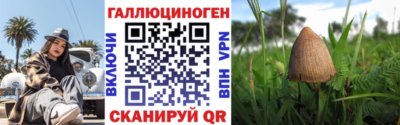 Псилоцибиновые грибы Cubensis хочу наркоту площадка Telegram Дятьково
