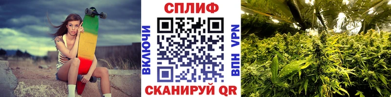 Канабис LSD WEED где найти Дятьково